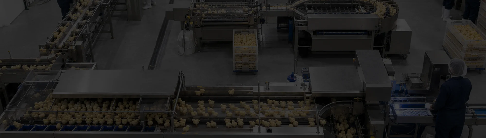 Hatchery Facility