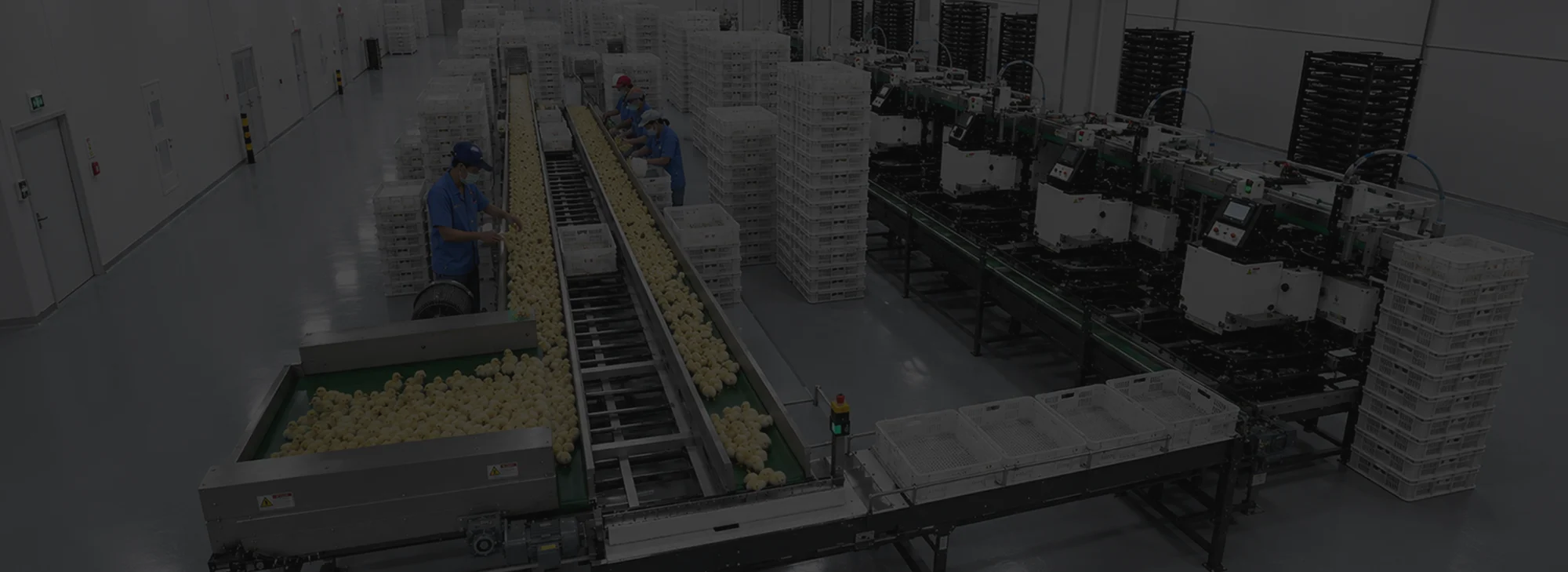 Hatchery Automation Preview